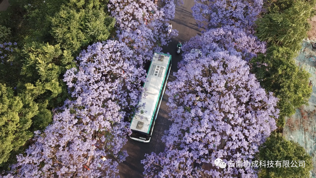 64014