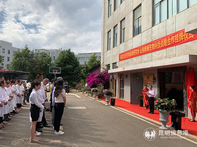 揭牌仪式现场。
