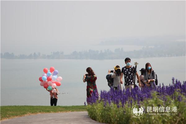 晋宁美丽的滇池湖岸成为许多市民的打卡点。记者薛江涛摄