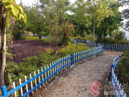 1590629661571048.jpg 2.jpg