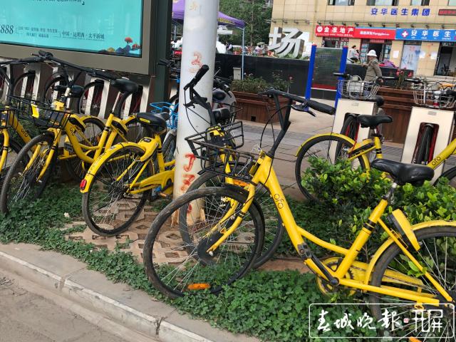 涉2.4亿执行款 OFO 小黄车执行裁定书曝光 名下已无财产.jpg