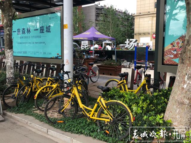 涉2.4亿执行款 OFO 小黄车执行裁定书曝光 名下已无财产 (1).jpg