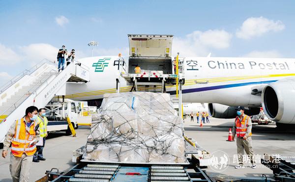 微信图片_20200602163247