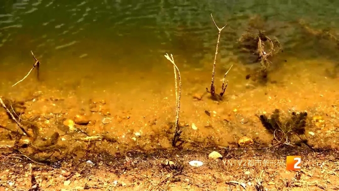 太平新城多小区停水,居民生活受影响,安宁组织应急供水