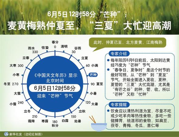 （图表）［传统节气·芒种］6月5日12时58分“芒种”：麦黄梅熟仲夏至，“三夏”大忙迎高潮