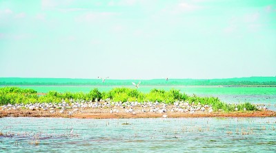 严明生态环境保护责任制度 严明生态环境保护责任制度