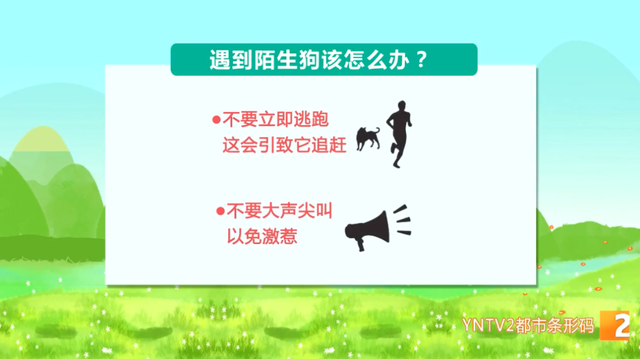 昆明市民反映狂犬疫苗紧张15.png