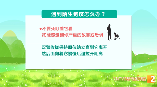 昆明市民反映狂犬疫苗紧张16.png
