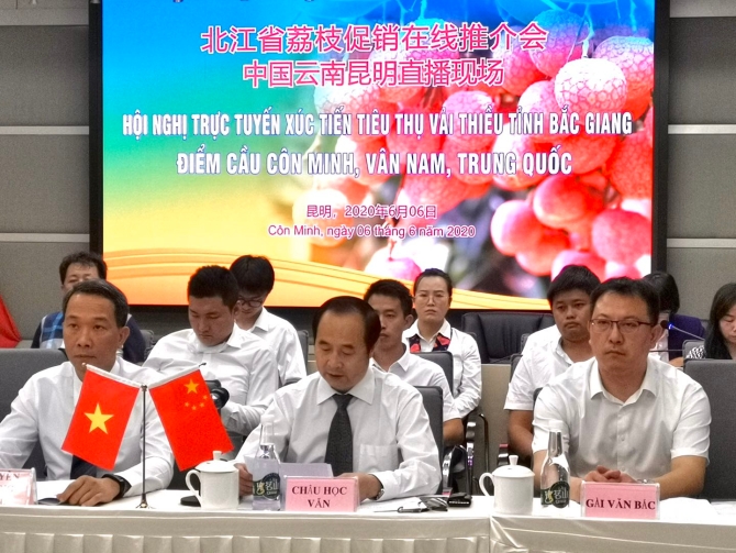 微信图片_20200606155442 微信图片_20200606155442