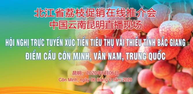 微信图片_20200606155458 微信图片_20200606155458