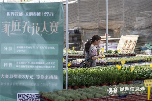 “花友”前往折扣商家选购