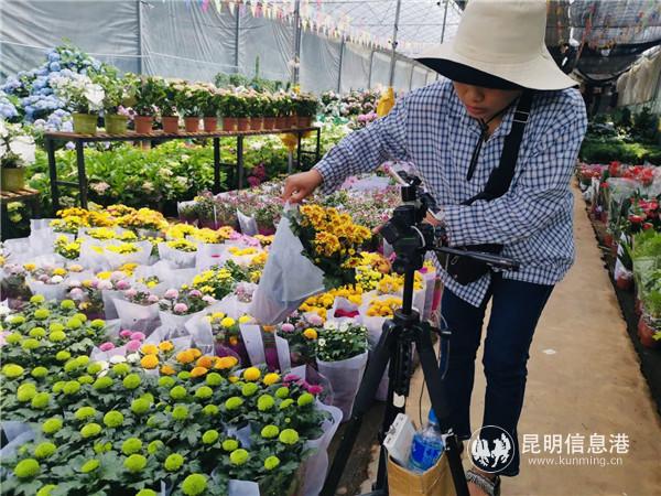 零八七邀花卉