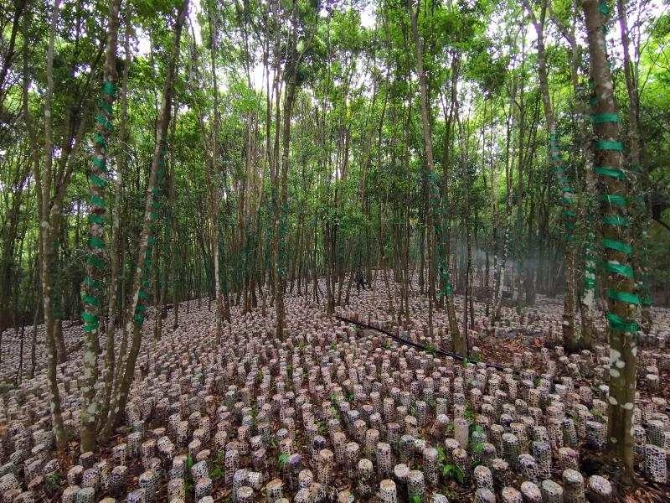 微信图片_20200611203215.jpg?x-oss-process=style/w10