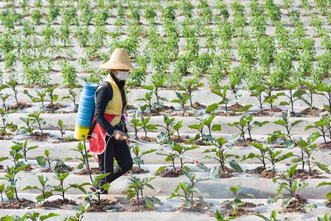 640.webp (1) 640.webp (1)