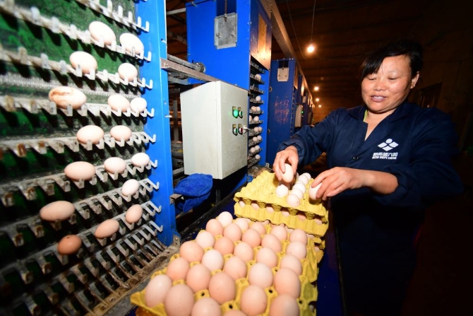 20200615221620_7711.jpg@1000w_1e_1c_80Q_1x 20200615221620_7711.jpg@1000w_1e_1c_80Q_1x