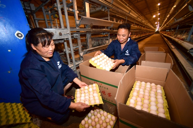 20200615221651_2519.jpg@1000w_1e_1c_80Q_1x 20200615221651_2519.jpg@1000w_1e_1c_80Q_1x