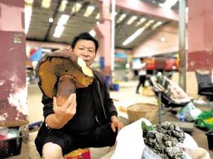 松茸降价十倍 红牛肝菌80元/公斤！昆明20多种野生菌上市 快去“捡相因”
