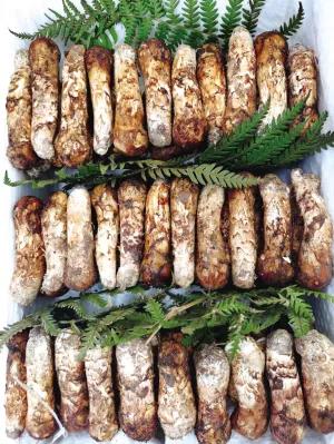 松茸降价十倍 红牛肝菌80元/公斤！昆明20多种野生菌上市 快去“捡相因”