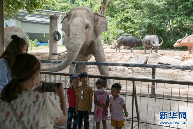 (国际疫情)(5)泰国动物园免费向民众开放