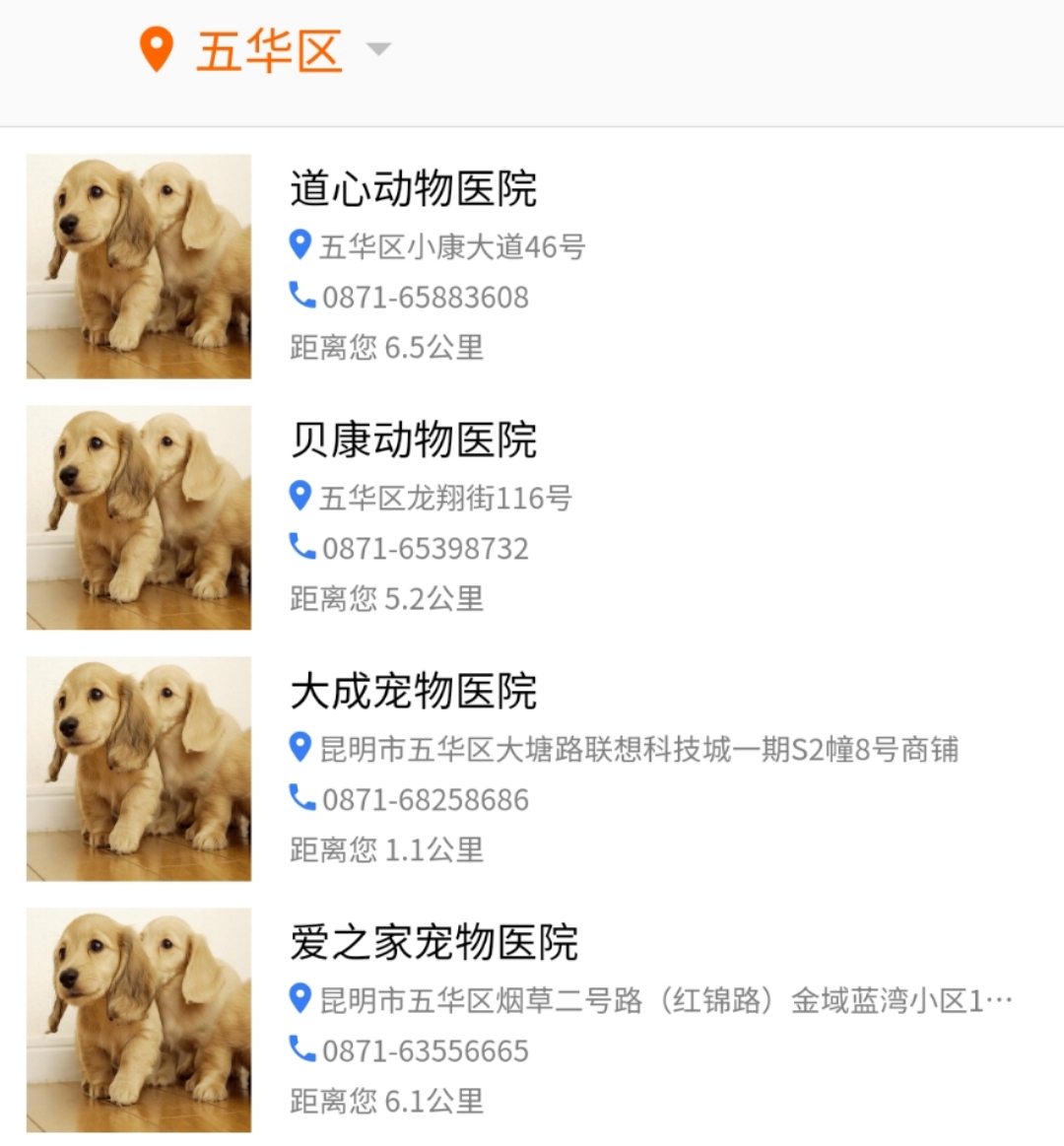 昆明养犬登记证可以在线申办8.jpg