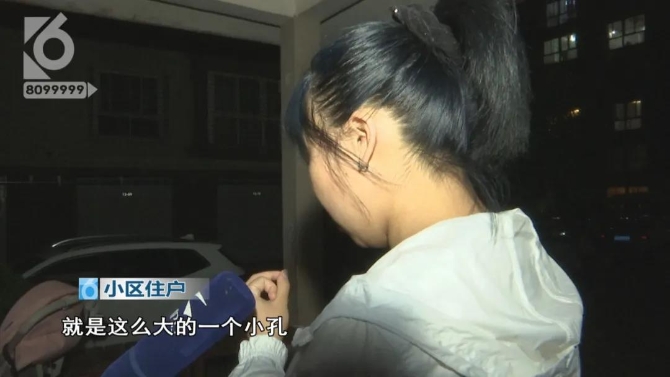 小狗院内莫名身亡 主人怀疑“遭黑枪”