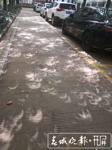 微信图片_20200621171041.jpg