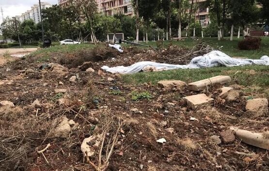 神操作!昆明一小区要将绿化带改停车场?业主……