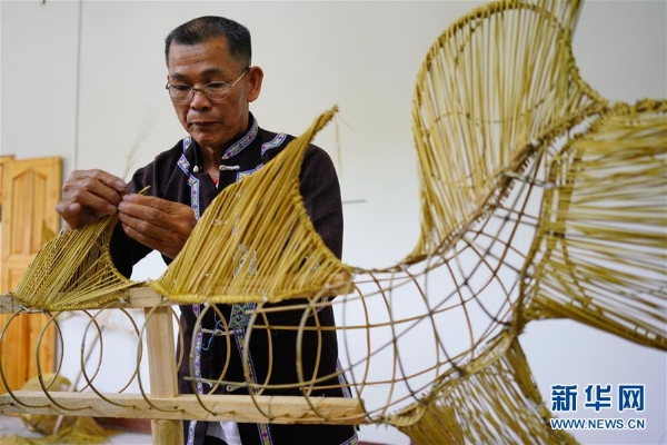 005056b89a4e205ceed310 005056b89a4e205ceed310