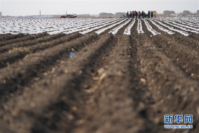 (在习近平新时代中国特色社会主义思想指引下——新时代新作为新篇章·习近平总书记关切事·图文互动)(3)让每一寸耕地都成为丰收的沃土——我国加强耕地保护推进“藏粮于地”