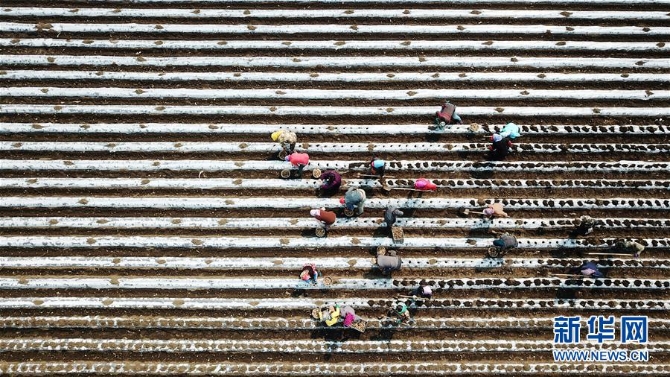 (在习近平新时代中国特色社会主义思想指引下——新时代新作为新篇章·习近平总书记关切事·图文互动)(2)让每一寸耕地都成为丰收的沃土——我国加强耕地保护推进“藏粮于地”
