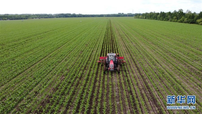 (在习近平新时代中国特色社会主义思想指引下——新时代新作为新篇章·习近平总书记关切事·图文互动)(5)让每一寸耕地都成为丰收的沃土——我国加强耕地保护推进“藏粮于地”