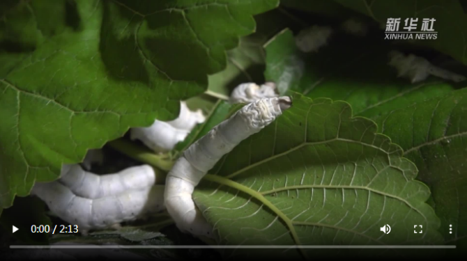 微信截图_20200625103742 微信截图_20200625103742