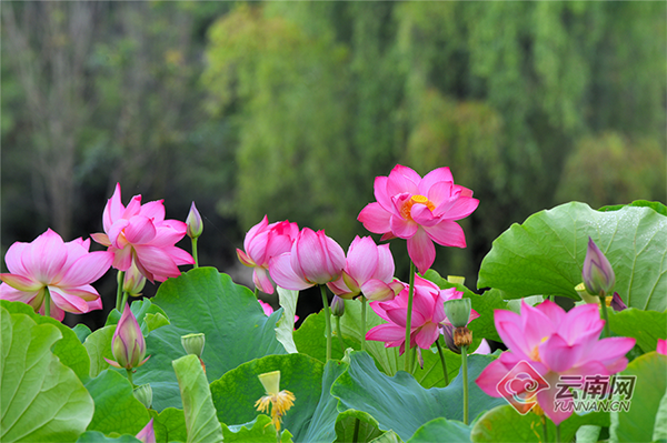 00301855221_2cab3b30