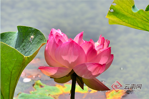 00301855225_dadbbdff