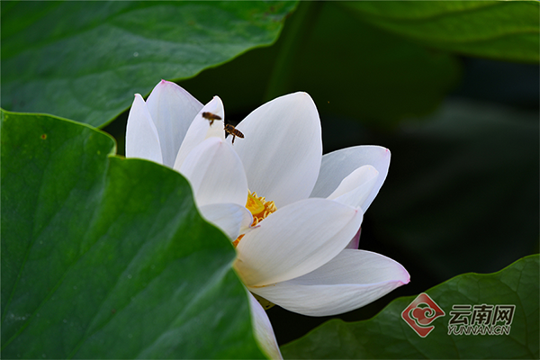 00301855229_b96c8147