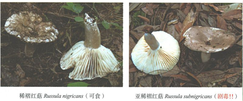 图片 4.png 图片 4.png