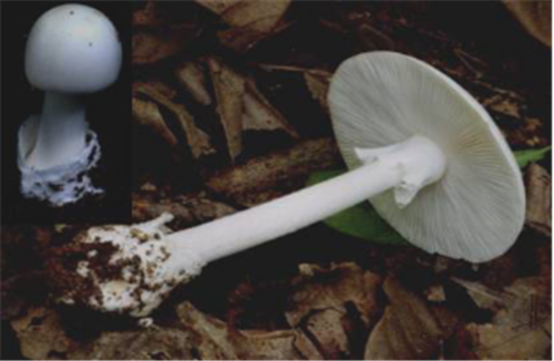 图片 15.png 图片 15.png