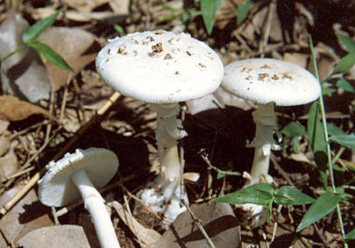 图片 1.png 图片 1.png