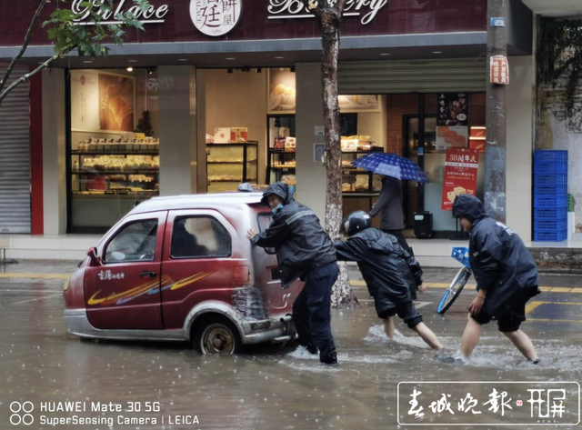 雨中百态 (3).png