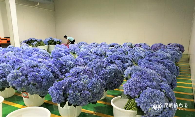 微信图片_20200630135039