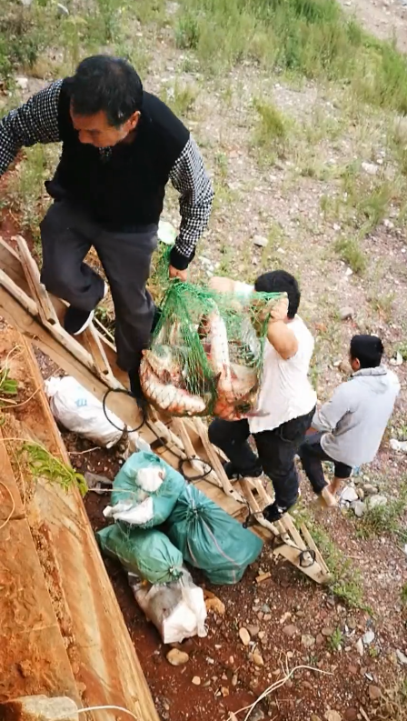 大理西洱河