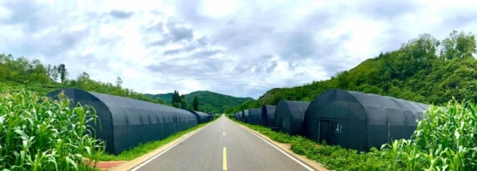 12f60c8998954d0e83979114be696e6c.jpeg@1000w_1e_1c_80Q_1x 12f60c8998954d0e83979114be696e6c.jpeg@1000w_1e_1c_80Q_1x