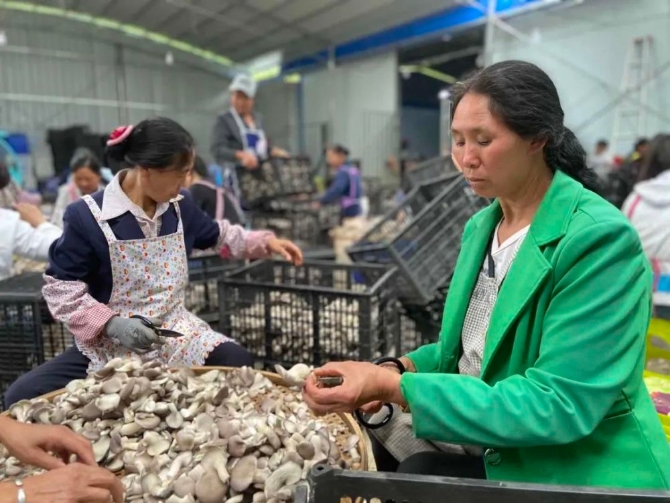 9dfa495b1a854edea83fbdb60070c225.jpeg@1000w_1e_1c_80Q_1x 9dfa495b1a854edea83fbdb60070c225.jpeg@1000w_1e_1c_80Q_1x