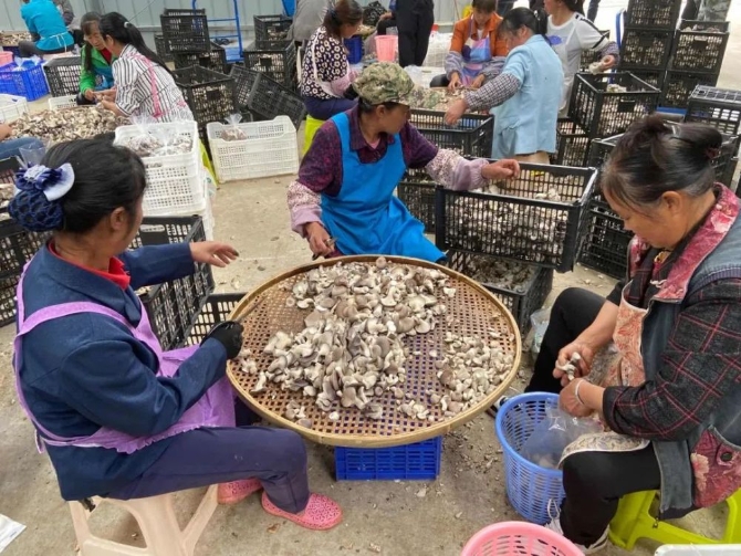 168f0b5693ff48549a3aeb1f7f0da955.jpeg@1000w_1e_1c_80Q_1x 168f0b5693ff48549a3aeb1f7f0da955.jpeg@1000w_1e_1c_80Q_1x