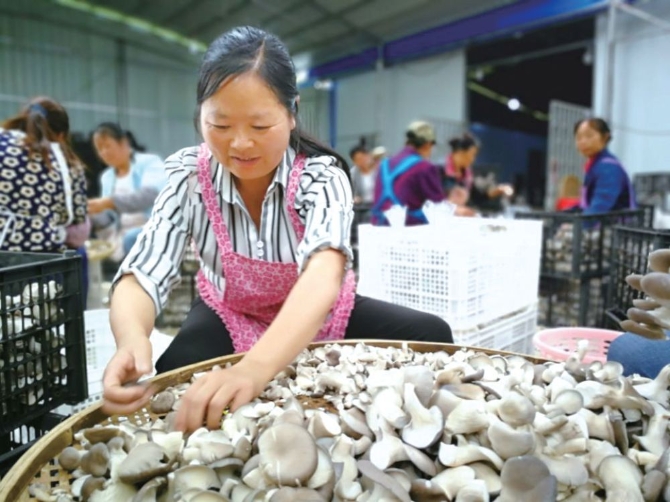 042d07817d5342338527abb4d6b3d88d.png@1000w_1e_1c_80Q_1x 042d07817d5342338527abb4d6b3d88d.png@1000w_1e_1c_80Q_1x