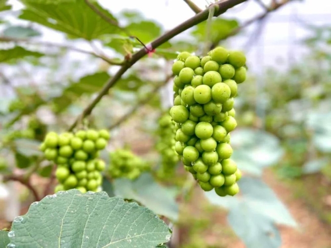 3a2dac7e8b3e418cbab1a3747a4bbb4b.jpeg@1000w_1e_1c_80Q_1x 3a2dac7e8b3e418cbab1a3747a4bbb4b.jpeg@1000w_1e_1c_80Q_1x