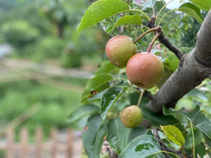 2446a7902c3d43f584a903077eb448cd.jpeg@1000w_1e_1c_80Q_1x 2446a7902c3d43f584a903077eb448cd.jpeg@1000w_1e_1c_80Q_1x