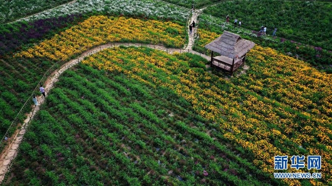 （美丽中国）（3）陕西太白：花开引客来