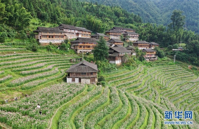 1126204437_15940821580441n 1126204437_15940821580441n