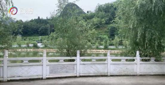 微博话题阅读破亿，全网点击1.5亿镇雄社会扶贫直播火爆，助